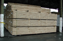 timber-packs-2
